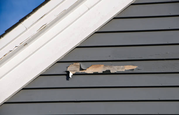 How To Choose The Right Materials for Your Siding Installation in 'Oglala, SD